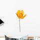 Single Orange Poppy White Wall Decal