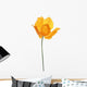 Single Orange Poppy White Wall Decal