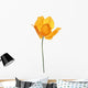 Single Orange Poppy White Wall Decal