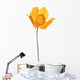 Single Orange Poppy White Wall Decal