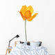Single Orange Poppy White Wall Decal
