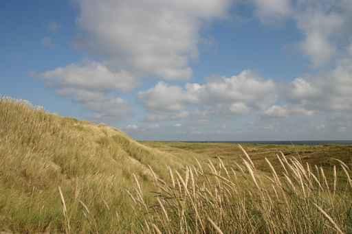 D Nen Auf Sylt Wall Decal
