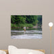 Fly Fishing Wall Decal