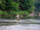 Fly Fishing Wall Decal