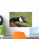 Canada Goose Wall Decal