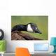 Canada Goose Wall Decal