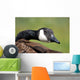 Canada Goose Wall Decal