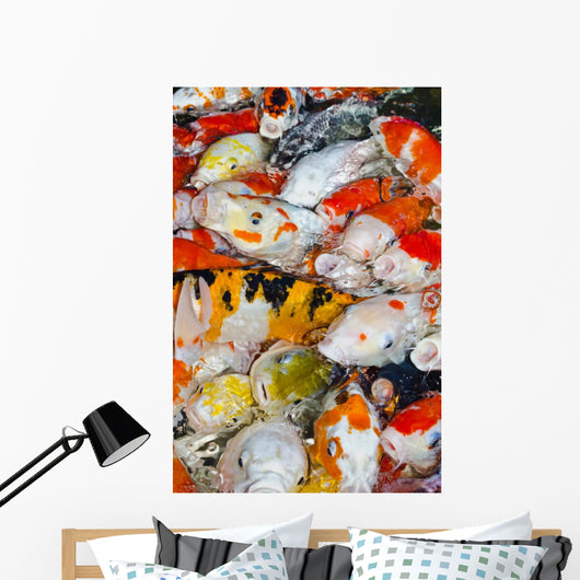 Koi Carps Wall Decal