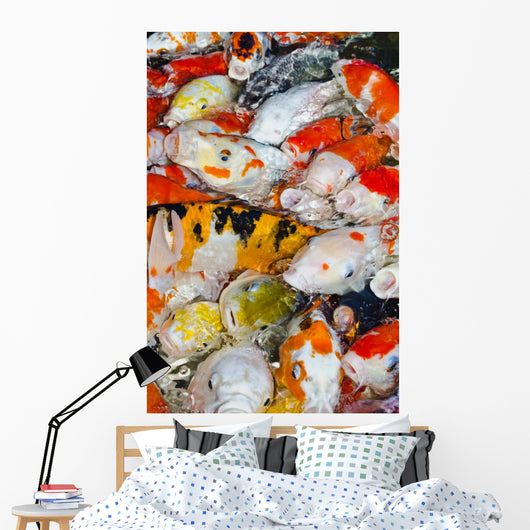 Koi Carps Wall Decal
