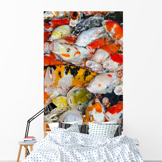 Koi Carps Wall Decal
