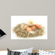 Baby Chick and Eggs Nest 2 Wall Decal