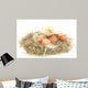 Baby Chick and Eggs Nest 2 Wall Decal