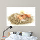 Baby Chick and Eggs Nest 2 Wall Decal