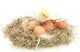 Baby Chick and Eggs Nest 2 Wall Decal