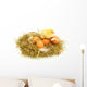 Baby Chick and Eggs Nest 1 Wall Decal