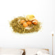 Baby Chick and Eggs Nest 1 Wall Decal
