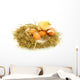 Baby Chick and Eggs Nest 1 Wall Decal