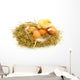 Baby Chick and Eggs Nest 1 Wall Decal