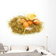 Baby Chick and Eggs Nest 1 Wall Decal