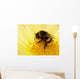 Bumblebee Is Cleaned Wall Decal