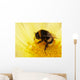 Bumblebee Is Cleaned Wall Decal