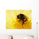 Bumblebee Is Cleaned Wall Decal