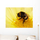 Bumblebee Is Cleaned Wall Decal