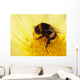 Bumblebee Is Cleaned Wall Decal