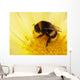 Bumblebee Is Cleaned Wall Decal