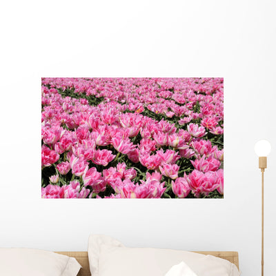 Pink Tulip Field 1 Wall Decal shown on a wall