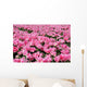 Pink Tulip Field 1 Wall Decal