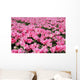 Pink Tulip Field 1 Wall Decal