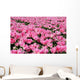 Pink Tulip Field 1 Wall Decal