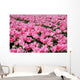 Pink Tulip Field 1 Wall Decal