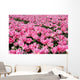 Pink Tulip Field 1 Wall Decal