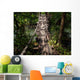 Boardwalk Jungle Wall Decal