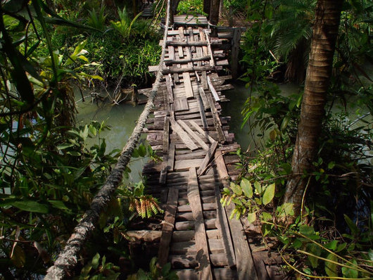 Boardwalk Jungle Wall Decal