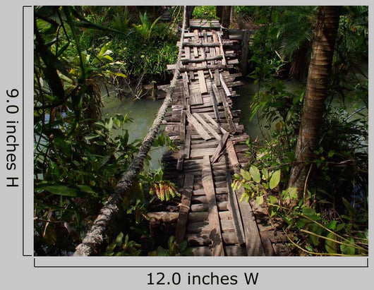 Boardwalk Jungle Wall Decal