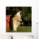 Singing Dog Wall Decal