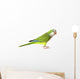Quaker Parrot Wall Decal