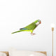 Quaker Parrot Wall Decal