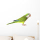 Quaker Parrot Wall Decal