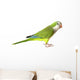 Quaker Parrot Wall Decal