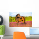 Bay Horse Portrait Pink Wall Decal