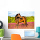 Bay Horse Portrait Pink Wall Decal