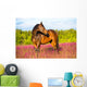 Bay Horse Portrait Pink Wall Decal
