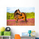 Bay Horse Portrait Pink Wall Decal