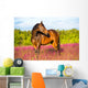 Bay Horse Portrait Pink Wall Decal