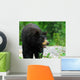 Black Bear Wall Decal