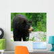 Black Bear Wall Decal